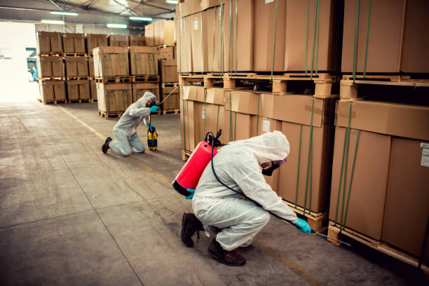 Best Pest Control Near Me  in Pemberville, OH