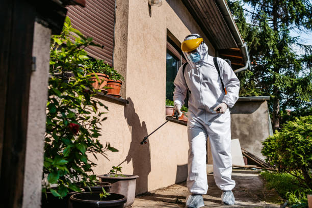 Best Affordable Pest Control Services  in Pemberville, OH