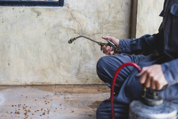 Best Best Pest Control Companies  in Pemberville, OH